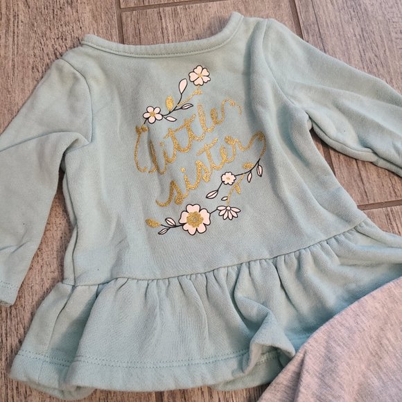 Jumping Beans and Carter's baby girl long sleeve tops grey and blue size 3-6M - Picture 2 of 7